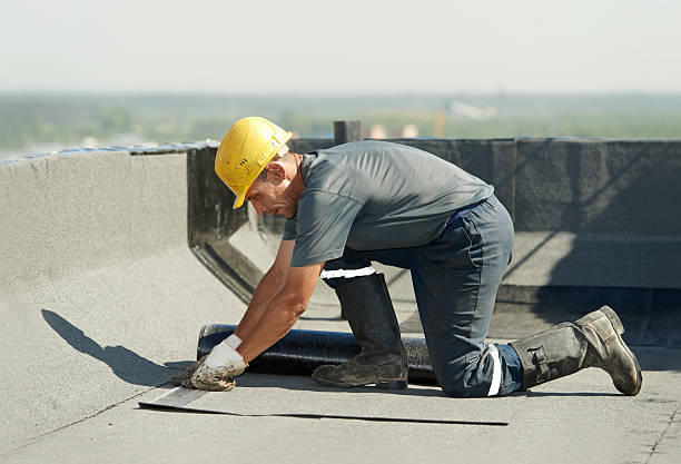 Best Specialized Insulation Services in Edison, GA