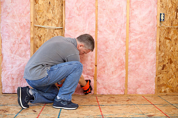 Best Geographic-Specific Insulation Services in Edison, GA