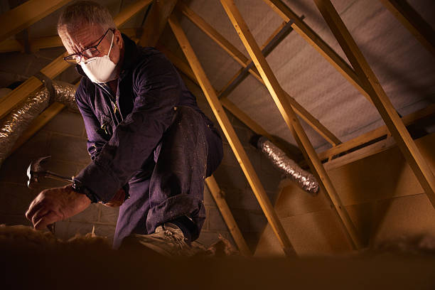 Best Insulation Maintenance and Repair in Edison, GA